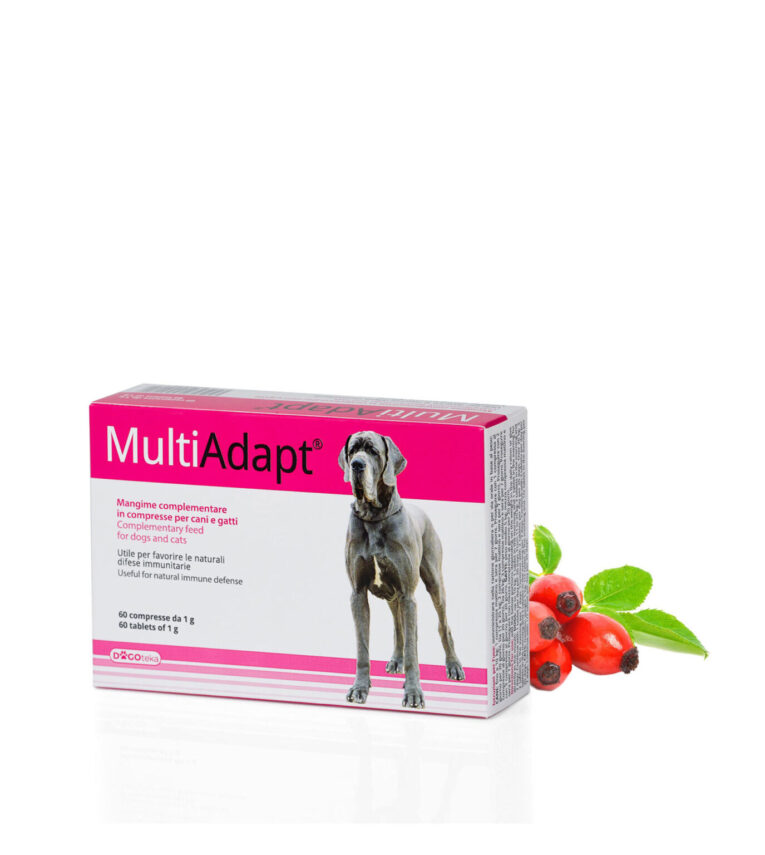 MultiAdapt-2023-e172493360194-1375×1536