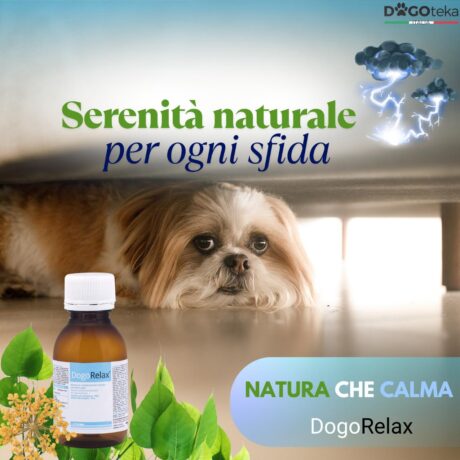 DogoRelax®