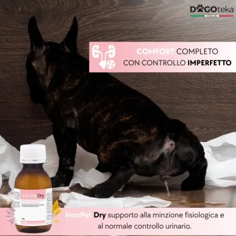 IncoPet Dry