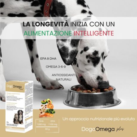 DogoOmega Plus